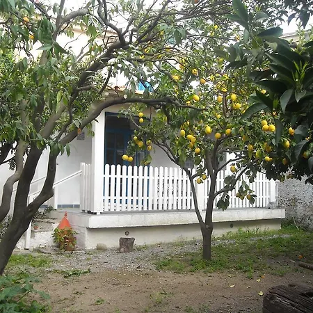 Gigia's House Апартаменты *