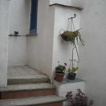 Gigia's House 帕利努罗