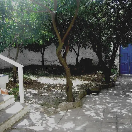 Gigia's House