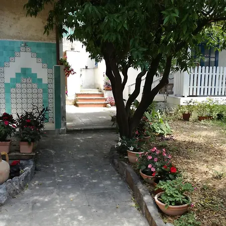 Gigia's House *